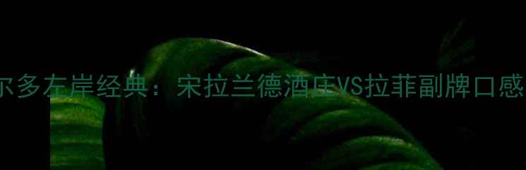 图片 2006年份波尔多左岸经典：宋拉兰德酒庄VS拉菲副牌口感对比测评🍷2