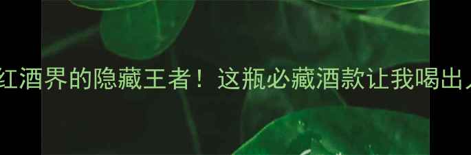 Arthur酒庄法国红酒界的隐藏王者这瓶必藏酒款让我喝出人生高光时刻