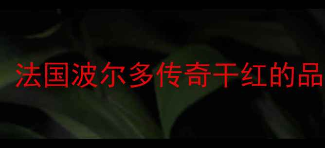 图片 July红酒品牌深度：法国波尔多传奇干红的品质密码与品鉴指南1