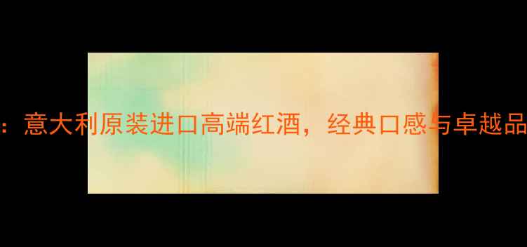 VAZNARI葡萄酒意大利原装进口高端红酒经典口感与卓越品质的完美融合