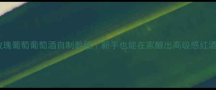 玫瑰葡萄葡萄酒自制教程新手也能在家酿出高级感红酒