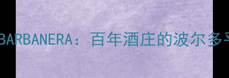 主标阿根廷马尔贝克鼻祖BARBANERA百年酒庄的波尔多平替百元喝出千元口感