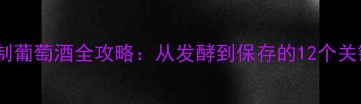 家庭自制葡萄酒全攻略从发酵到保存的12个关键步骤