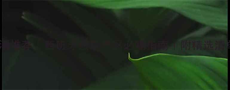 巴塞罗那红酒推荐西班牙顶级产区必喝指南附精选清单品鉴攻略