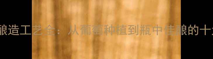 干红葡萄酒酿造工艺全从葡萄种植到瓶中佳酿的十大关键步骤