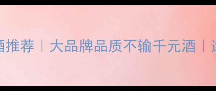 平价西拉红酒推荐大品牌品质不输千元酒适合送礼聚会