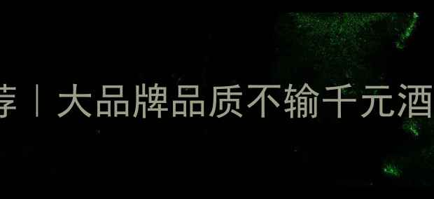 图片 平价西拉红酒推荐｜大品牌品质不输千元酒｜适合送礼聚会1