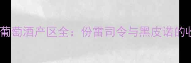图片 德国经典葡萄酒产区全：份雷司令与黑皮诺的收藏价值1