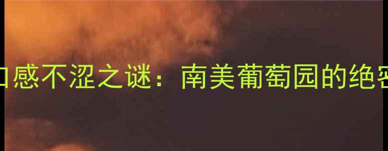 智利红酒口感不涩之谜南美葡萄园的绝密酿造工艺