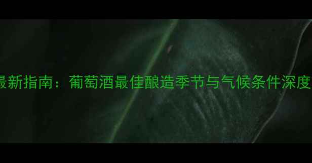 最新指南葡萄酒最佳酿造季节与气候条件深度