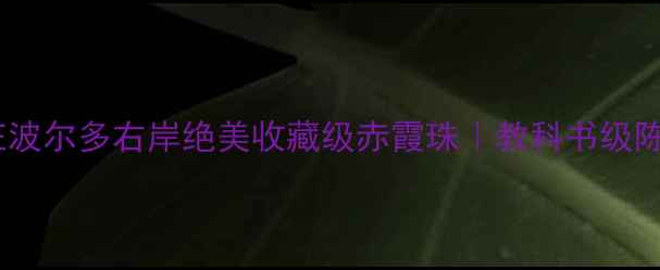 歌碧酒庄波尔多右岸绝美收藏级赤霞珠教科书级陈年潜力