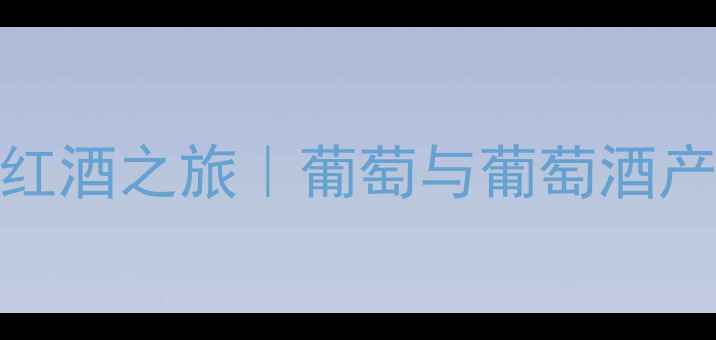 沉浸式体验红酒之旅葡萄与葡萄酒产业园全攻略
