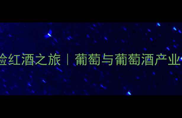 图片 沉浸式体验红酒之旅｜葡萄与葡萄酒产业园全攻略2