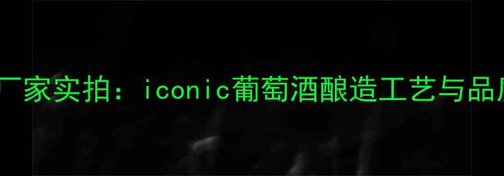 图片 澳洲奔富红酒厂家实拍：iconic葡萄酒酿造工艺与品质把控全流程2