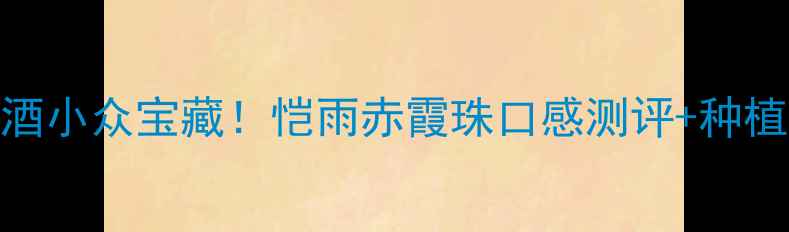 秦皇岛葡萄酒小众宝藏恺雨赤霞珠口感测评种植基地探秘
