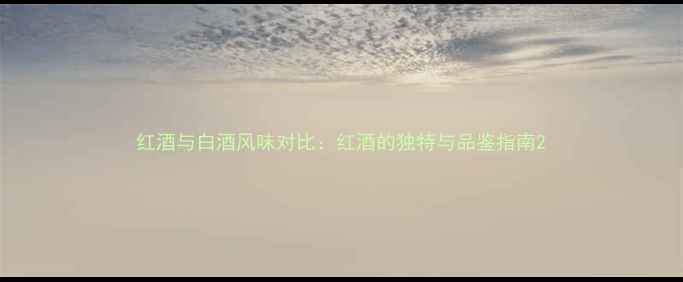 红酒与白酒风味对比红酒的独特与品鉴指南