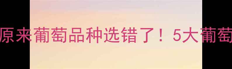 图片 红酒口感差？原来葡萄品种选错了！5大葡萄品种避坑指南