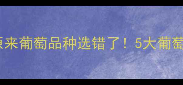 红酒口感差原来葡萄品种选错了5大葡萄品种避坑指南