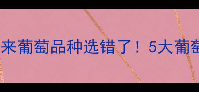 图片 红酒口感差？原来葡萄品种选错了！5大葡萄品种避坑指南2