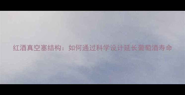 图片 红酒真空塞结构：如何通过科学设计延长葡萄酒寿命