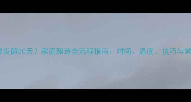 图片 自制红酒需要发酵30天？家庭酿造全流程指南：时间、温度、技巧与常见问题解答2