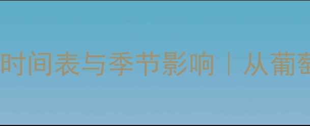 图片 葡萄酒制作全攻略：最佳时间表与季节影响｜从葡萄采摘到瓶装全流程指南1