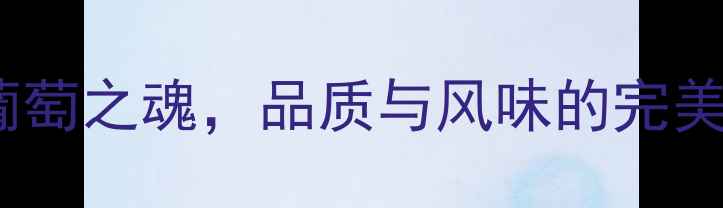 阿根廷马尔贝克精选干红南美葡萄之魂品质与风味的完美融合附选购指南与品鉴攻略