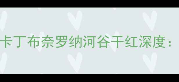 南罗纳河谷经典混酿卡丁布奈罗纳河谷干红深度西拉歌海娜的完美碰撞