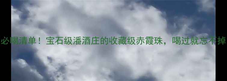 意大利红酒必喝清单宝石级潘酒庄的收藏级赤霞珠喝过就忘不掉的神仙酒