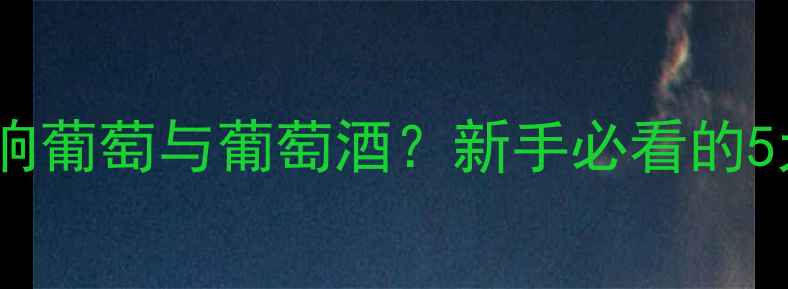 图片 🍷气候如何影响葡萄与葡萄酒？新手必看的5大关键点！🌍2