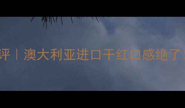 澳利莱红酒A328测评澳大利亚进口干红口感绝了百元档性价比王