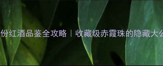 图片 🍷瑞云份红酒品鉴全攻略｜收藏级赤霞珠的隐藏大公开！2