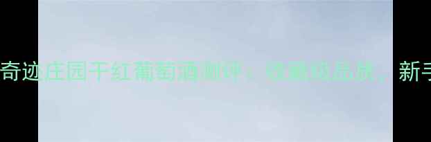 图片 🍷百元档位黑马！奇迹庄园干红葡萄酒测评：收藏级品质，新手也能喝出高级感1