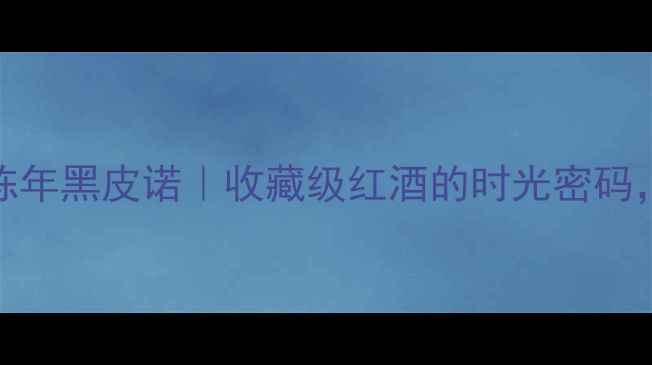 百特酒庄2001陈年黑皮诺收藏级红酒的时光密码喝过的都说绝