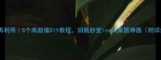 图片 🍷红酒瓶再利用｜5个高颜值DIY教程，旧瓶秒变ins风家居神器（附详细步骤）1