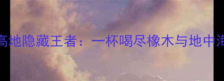 图片 🍷西班牙红酒必喝！科拉尔高地隐藏王者：一杯喝尽橡木与地中海阳光的绝妙平衡附精选酒单